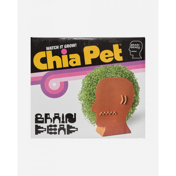 Brain Dead Logohead Chia Pet Verde / Multi