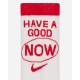 Nike Everyday Plus Calzettoni imbottiti Bianco / Rosso Università